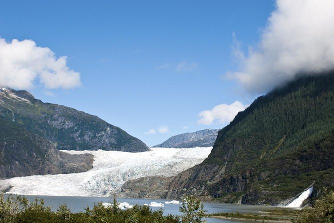 Mendenhall Glacier Trolley Tour - Included Experiences