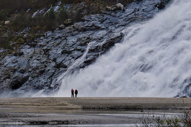 Mendenhall Glacier Trolley Tour - Customer Feedback