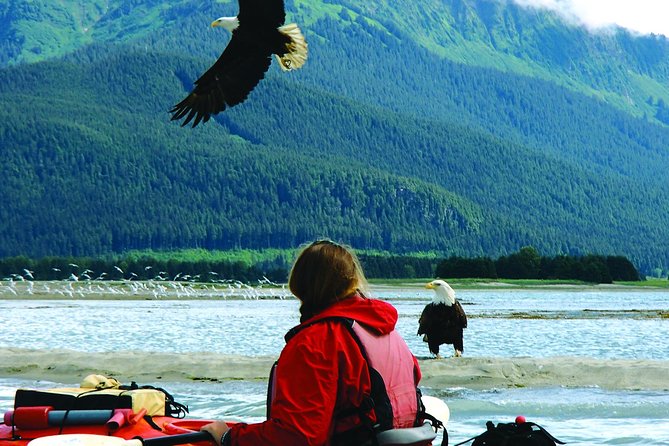 Mendenhall Glacier View Sea Kayaking - Safety and Requirements