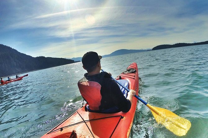 Mendenhall Glacier View Sea Kayaking - Whats Included