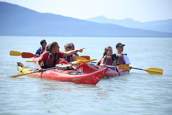 Mendenhall Glacier View Sea Kayaking - Booking and Confirmation