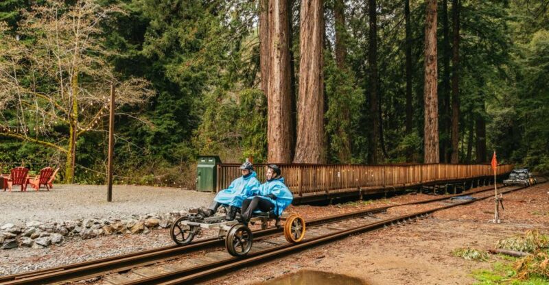 Mendocino County: Pudding Creek Railbikes - Experience Highlights