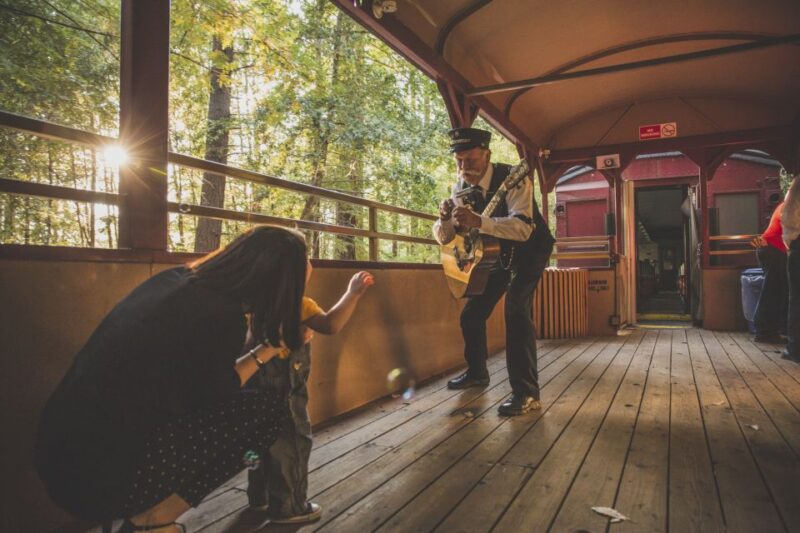 Mendocino County: Skunk Train Wolf Tree Turn Train Ride - Booking and Payment Information