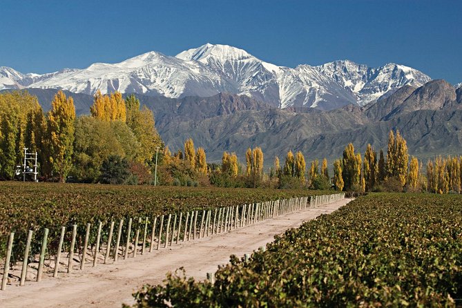 Mendoza: Aconcagua Adventure in the Andes Mountains - Discovering Uspallatas Panoramic Valley
