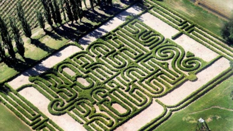 Mendoza: Borges Labyrinth: Lunch, Literary Workshop & Winery - Bike Tour and Wine Tasting