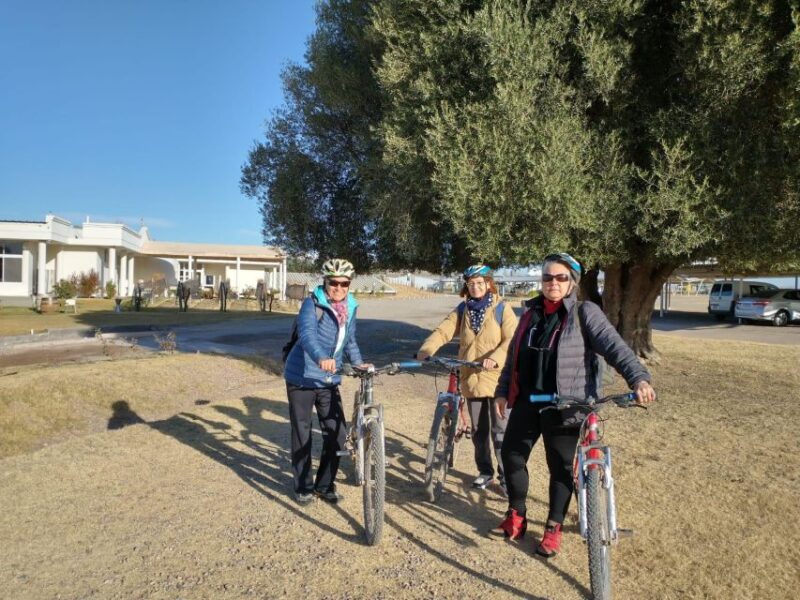 Mendoza: Borges Labyrinth: Lunch, Literary Workshop & Winery - Literary Workshop and Puzzles