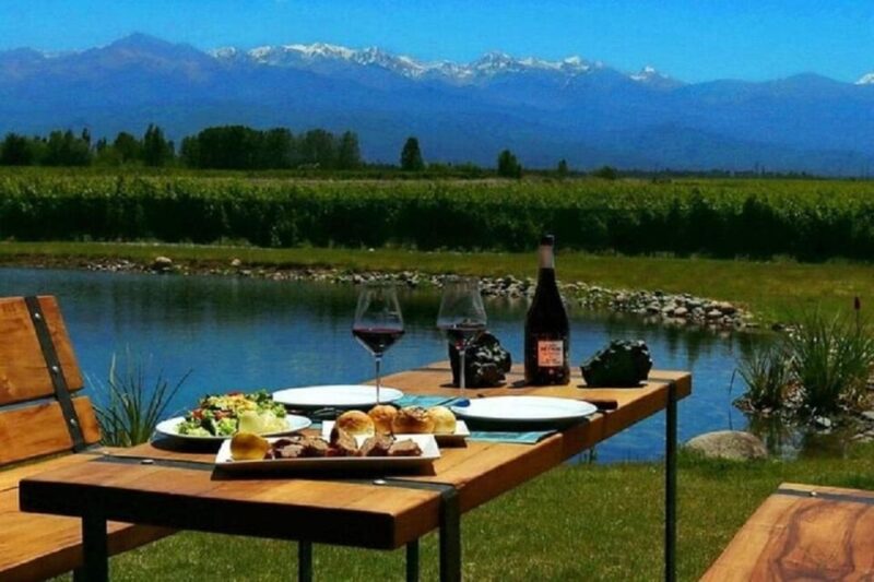 Mendoza: Full Day Tour Visit and Tasting - 3 Wineries - Transportation and Pickup