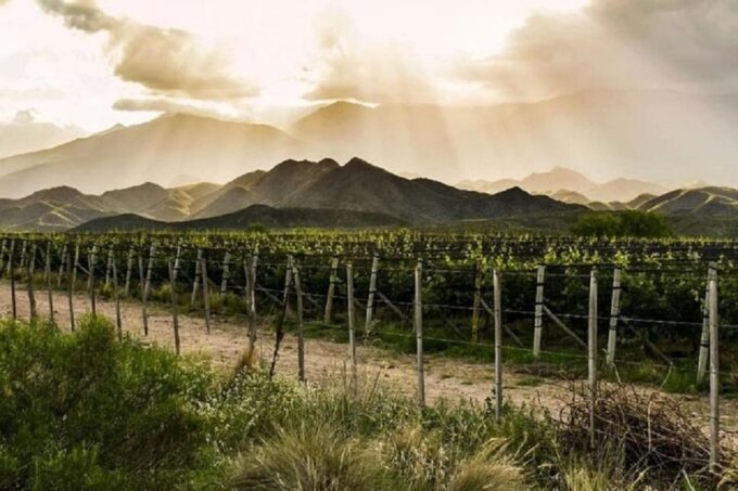 Mendoza: Full Day Tour Visit and Tasting - 3 Wineries - Tour Duration and Schedule