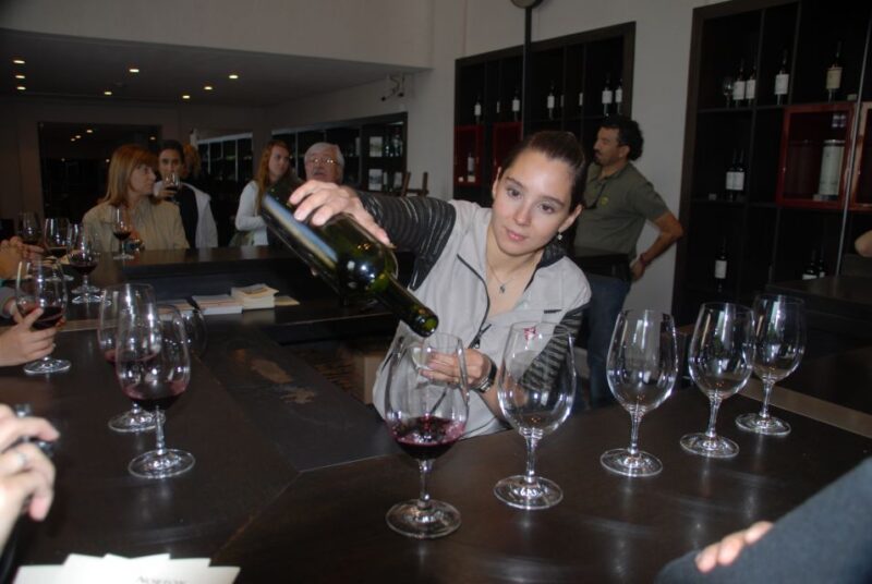 Mendoza: Full Day Wine Tour With 3 Course Lunch - Highlights of the Experience