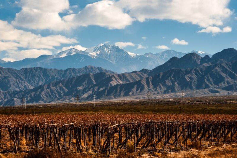 Mendoza: Full Day Wine Tour With 3 Course Lunch - Exploring Mendozas Wine Regions