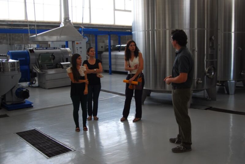 Mendoza: Full Day Wine Tour With 3 Course Lunch - Tour Inclusions