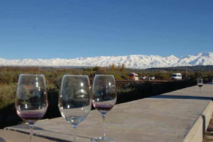 Mendoza: Full Day Wine Tour With 3 Course Lunch - Customer Feedback