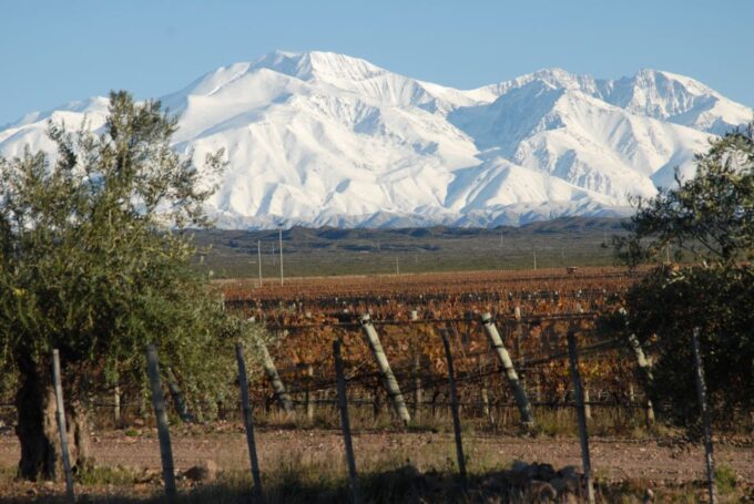 Mendoza: Full Day Wine Tour With 3 Course Lunch - Booking and Cancellation Policy