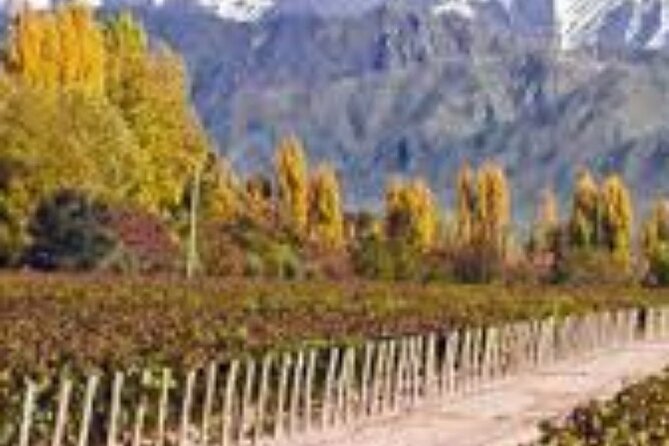 Mendoza Full Day Wineries. - Key Points