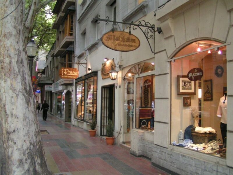 Mendoza: Half-Day Sightseeing Tour - Important Information