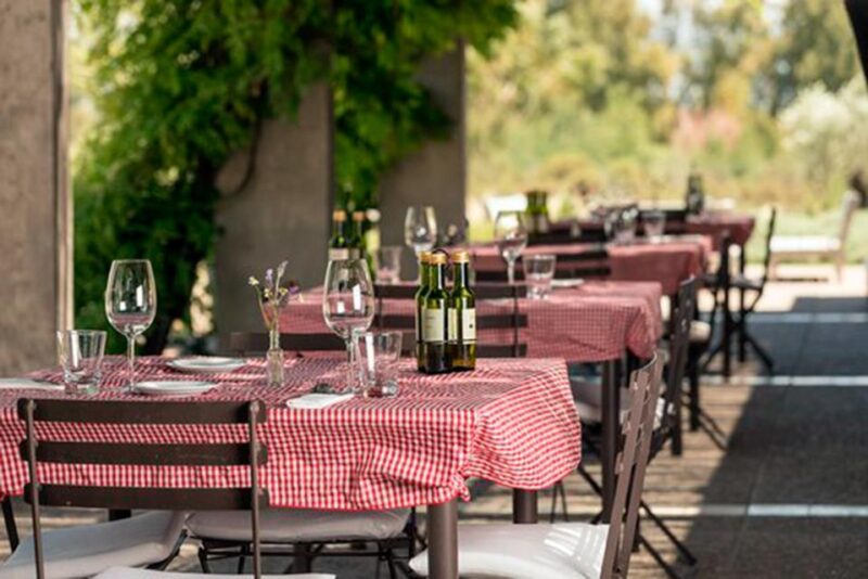 Mendoza: Half-Day Wine Tour With Tastings and Lunch - Key Points
