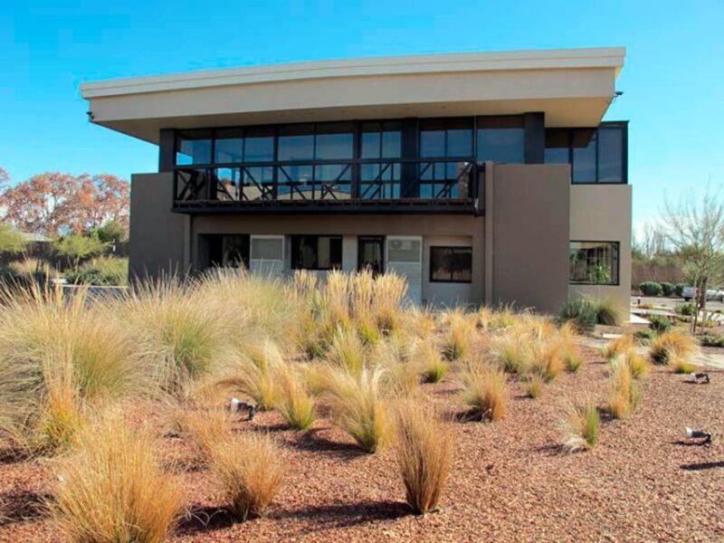 Mendoza: Half-Day Wine Tour With Tastings and Lunch - Itinerary Highlights