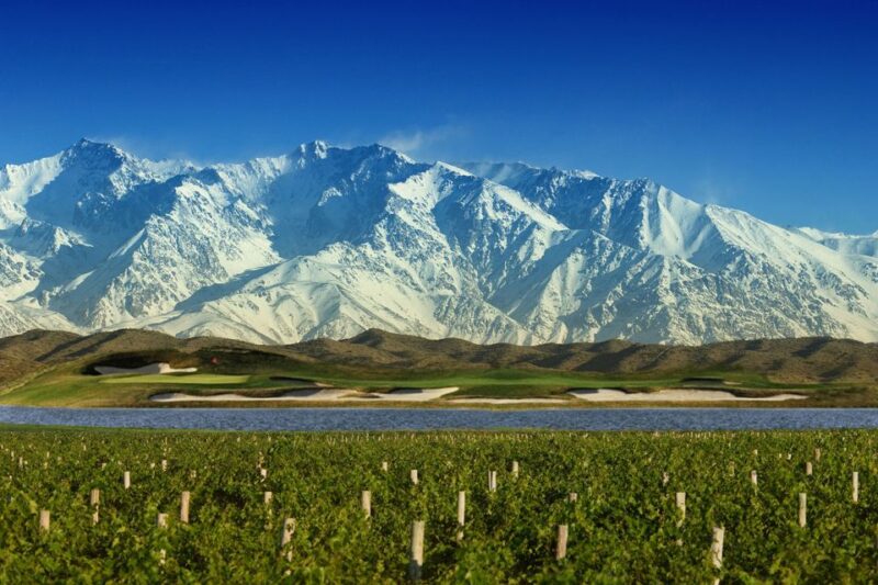 Mendoza: Half-Day Wine Tour With Tastings and Lunch - Booking Information