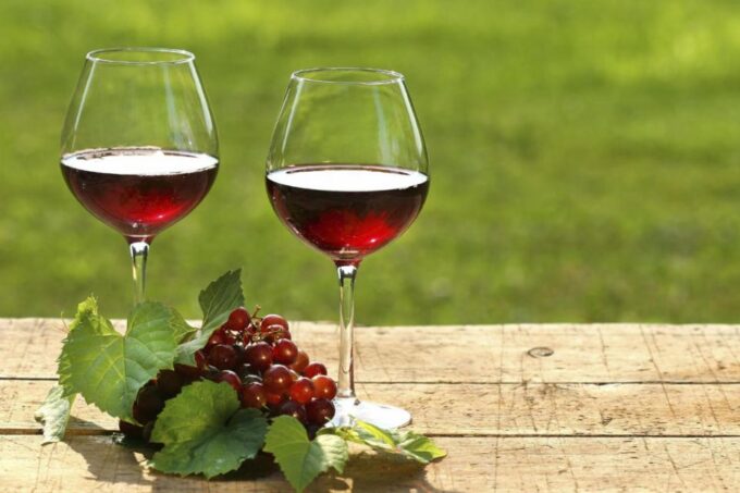 Mendoza: Half-Day Wine Tour With Tastings and Lunch - Wine Tasting Details