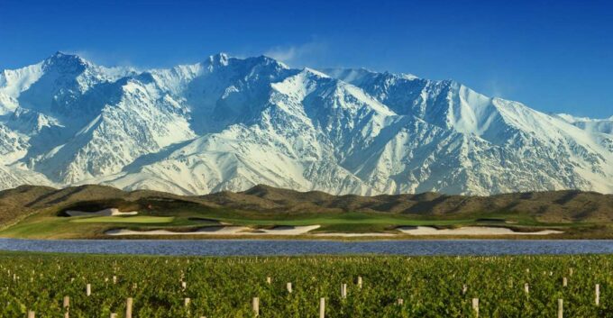 Mendoza: Half-Day Wine Tour With Tastings and Lunch - Culinary Experience