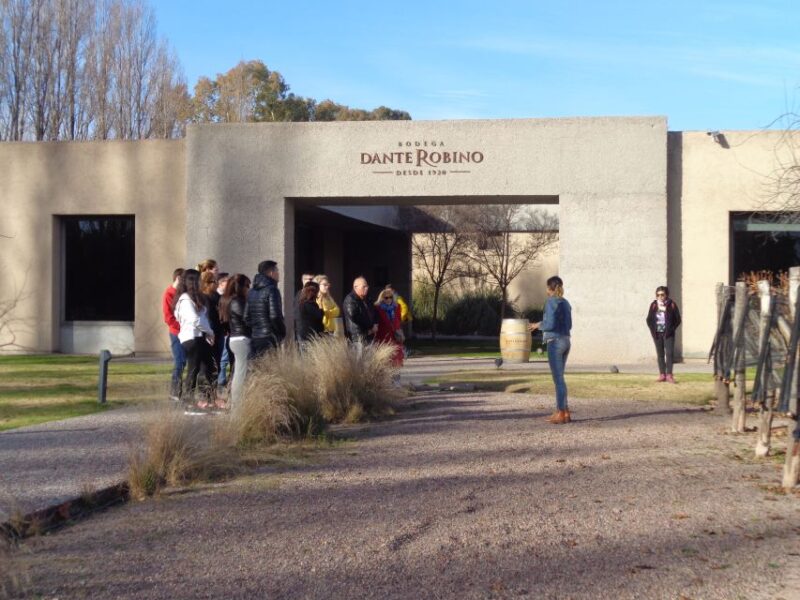 Mendoza: Half-Day Wine Tour With Tastings - Itinerary and Experience