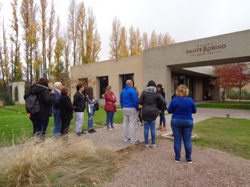 Mendoza: Half-Day Wine Tour With Tastings - Transportation and Group Details
