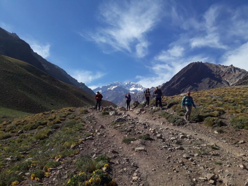 Mendoza: High Mountain and Aconcagua Park Tour With BBQ - Itinerary Highlights