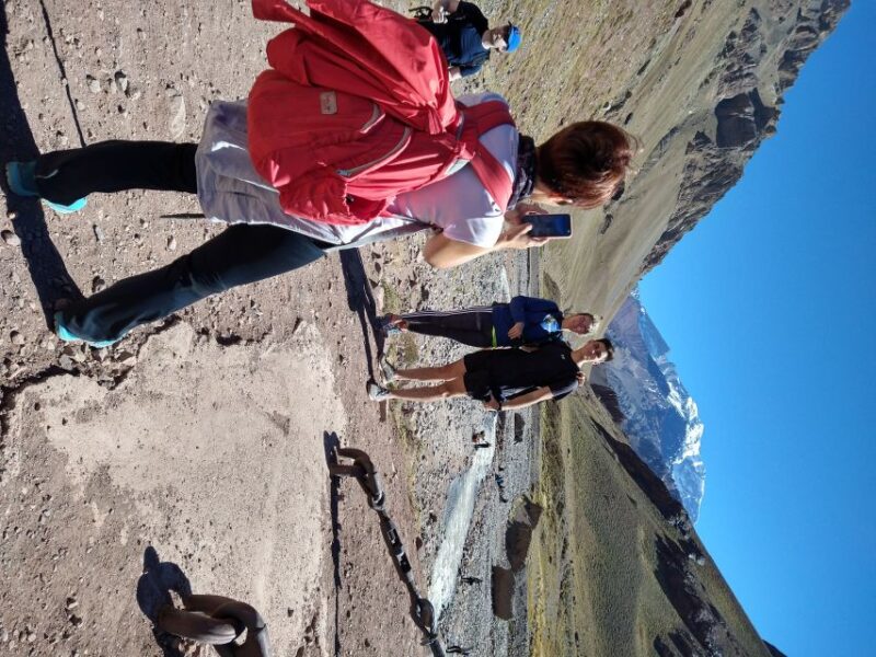 Mendoza: High Mountain and Aconcagua Park Tour With BBQ - Experience and Activities