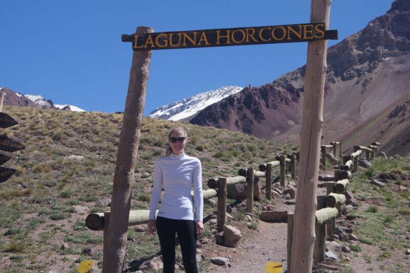 Mendoza: High Mountain and Aconcagua Park Tour With BBQ - Inclusions and Requirements