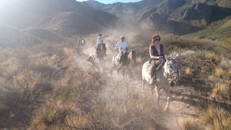 Mendoza: Horseback Riding in the Andes With Authentic BBQ - Dining Experience Highlights