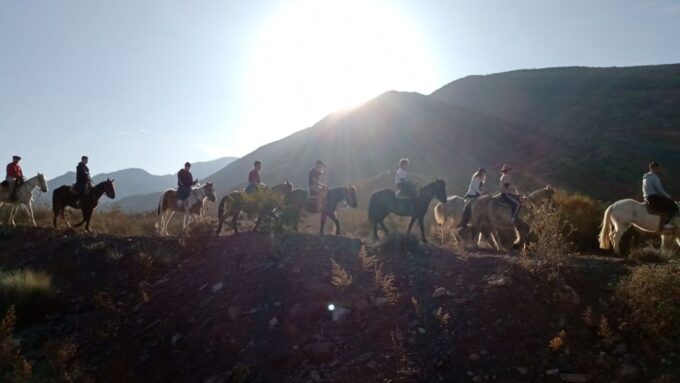 Mendoza: Horseback Riding in the Andes With Authentic BBQ - Pickup and Accommodation Details