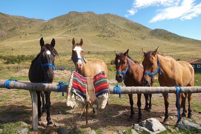 Mendoza Horseback Riding Tour With Traditional Argentine Asado - Inclusions and Logistics