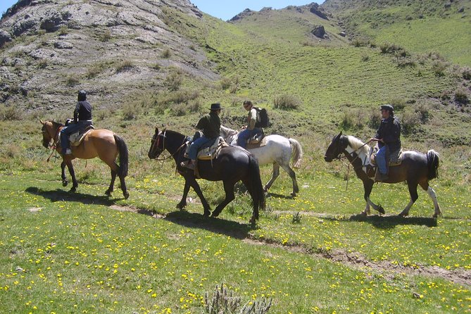 Mendoza Horseback Riding Tour With Traditional Argentine Asado - Customer Feedback and Impressions