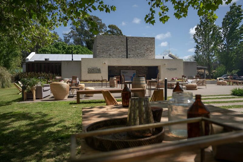 Mendoza in a Day: Wine Tour, Lunch + Transportation - Itinerary and Experience