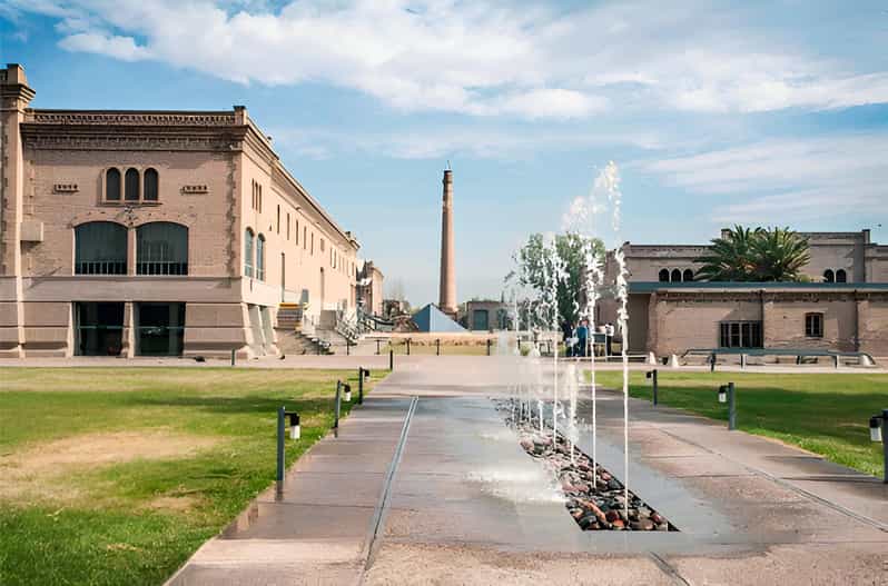 Mendoza in a Day: Wine Tour, Lunch + Transportation - Wine and Culinary Highlights