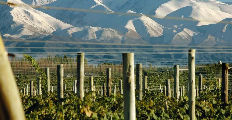 Mendoza: In the Heart of Vineyards and Olive Trees - Key Points