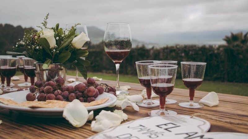 Mendoza: In the Heart of Vineyards and Olive Trees - Pricing and Booking