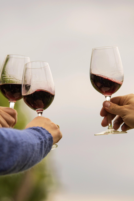 Mendoza: In the Heart of Vineyards and Olive Trees - Important Information