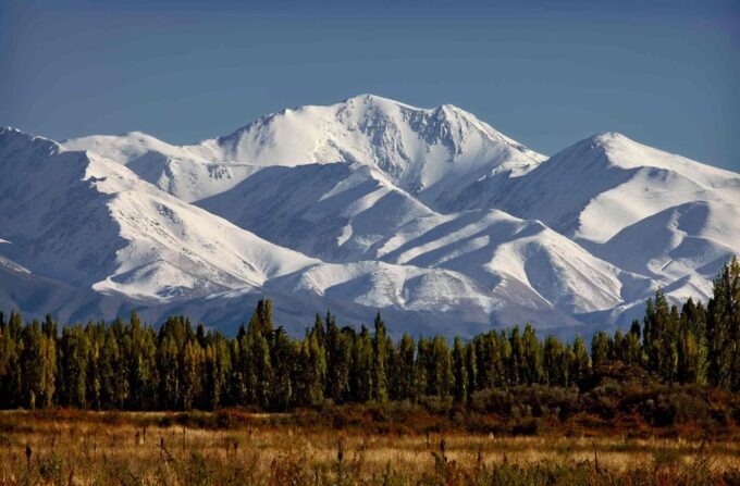 Mendoza: In the Heart of Vineyards and Olive Trees - Olive Oil Production