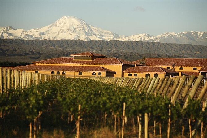 Mendoza Malbec Experience - Luján De Cuyo: the Heart of Malbec