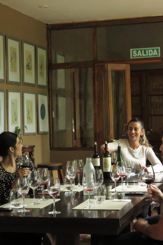 Mendoza: Private Wine Tour, Tastings and Lunch With Pairings - Key Points