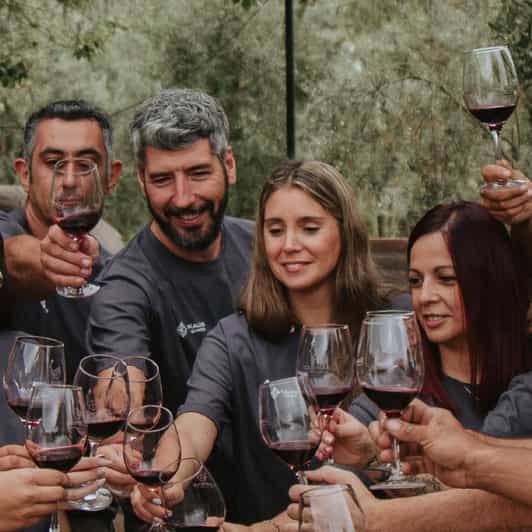 Mendoza: Private Wine Tour, Tastings and Lunch With Pairings - Main Stops and Wineries