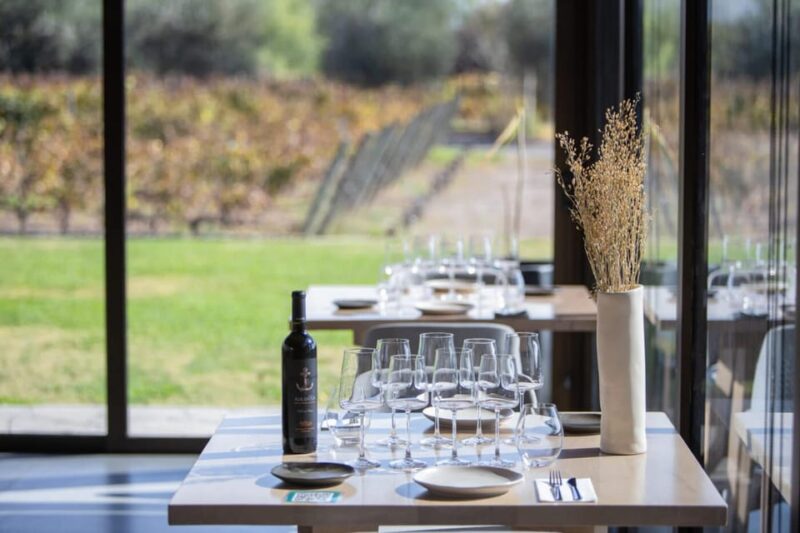 Mendoza: Private Wine Tour, Tastings and Lunch With Pairings - Lunch and Wine Pairings