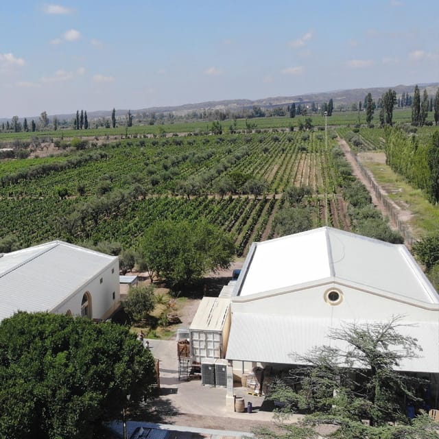 Mendoza: Private Wine Tour, Tastings and Lunch With Pairings - Reserve Now and Pay Later
