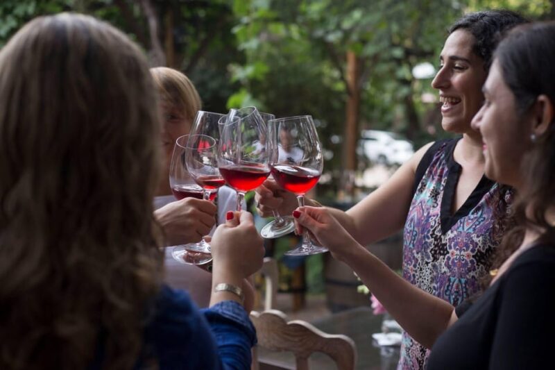 Mendoza: Private Wine Tour, Tastings and Lunch With Pairings - Wine Tasting and Vineyard Tours