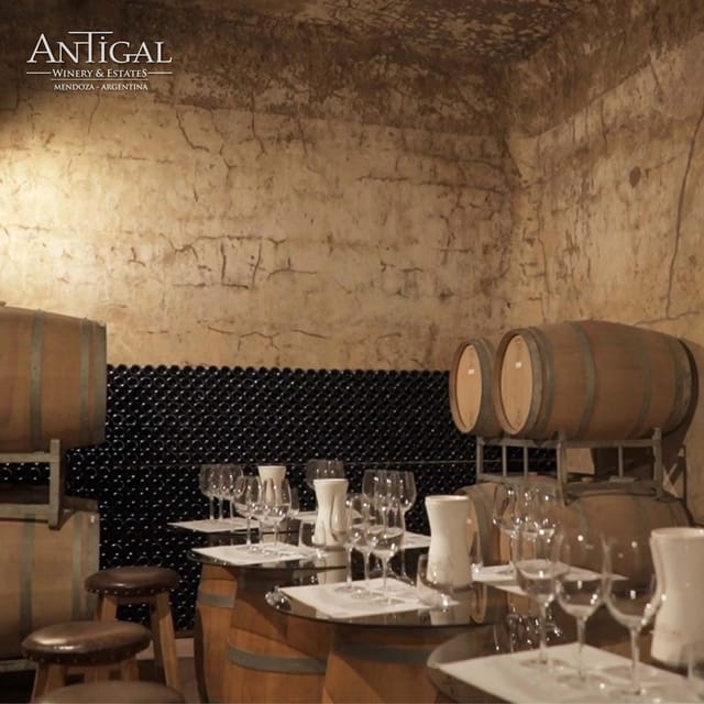 Mendoza: Private Wine Tour, Tastings and Lunch With Pairings - Scenic Mountain Backdrops