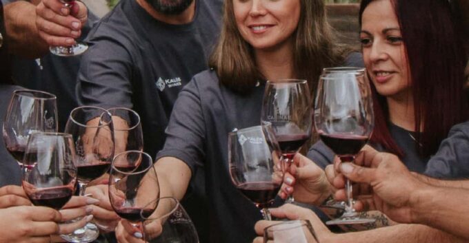 Mendoza: Private Wine Tour, Tastings and Lunch With Pairings - Transportation and Driver Services