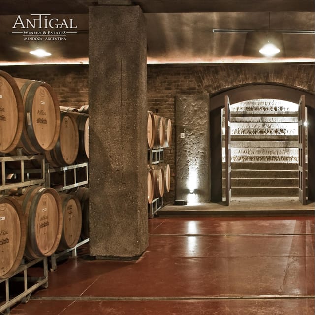 Mendoza: Private Wine Tour, Tastings and Lunch With Pairings - Flexible Travel Arrangements
