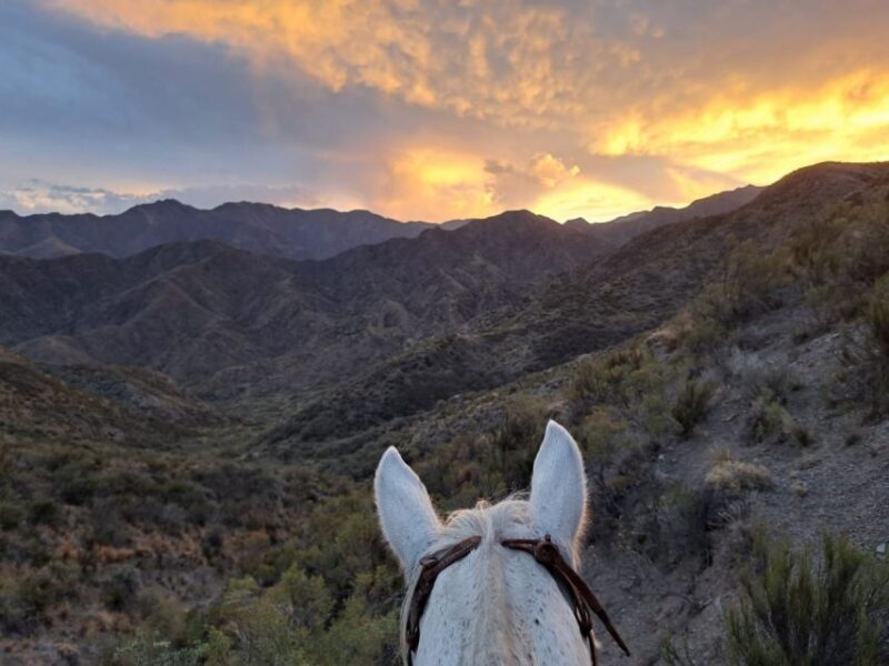 Mendoza: Sunset Horse Back Riding in the Mountains and BBQ - Meal and Refreshments
