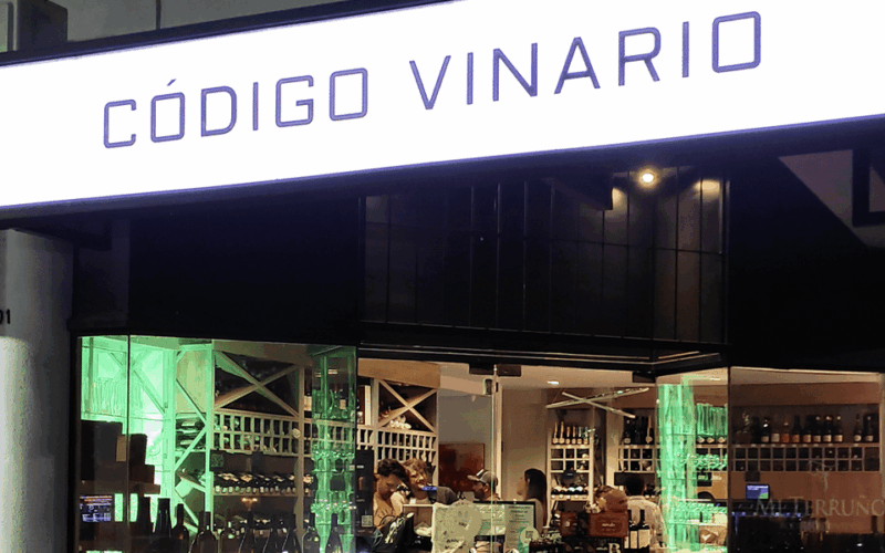 Mendoza: Tasting in a Wine Cellar - Experience Highlights
